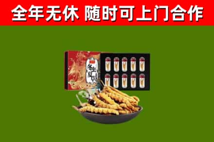 秀屿区回收冬虫夏草价格